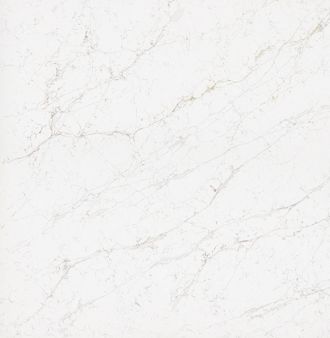 Calacatta Olympos Wilsonart Collection