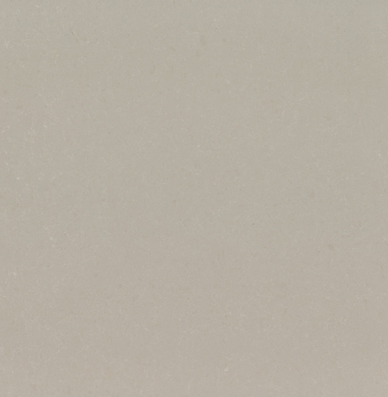 Noble Ivory White Noble Collection