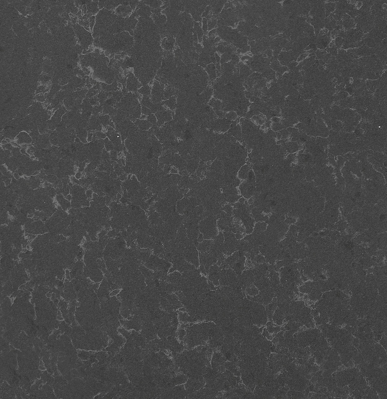 Noble Pro Storm Noble Collection