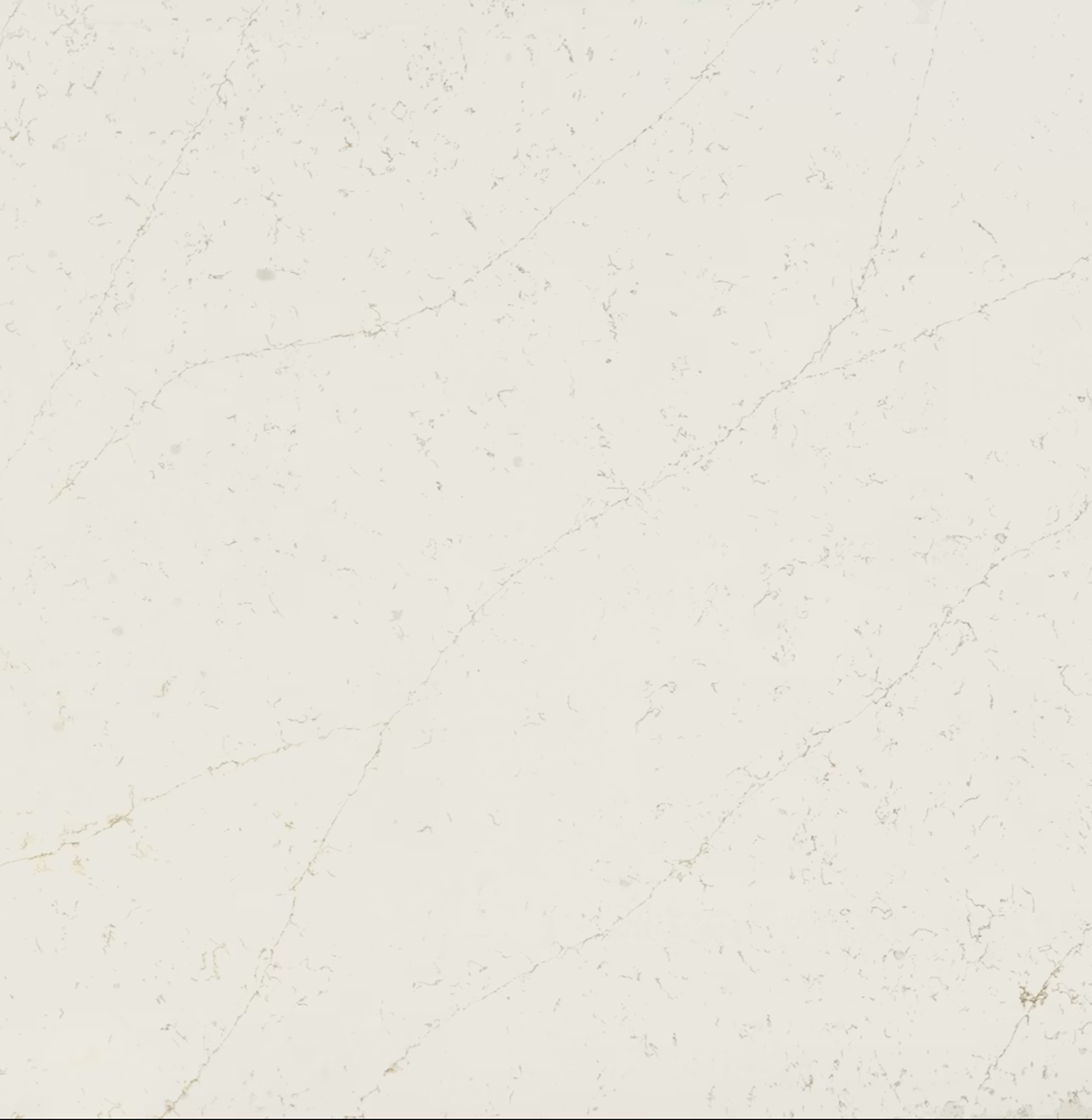 Persian White