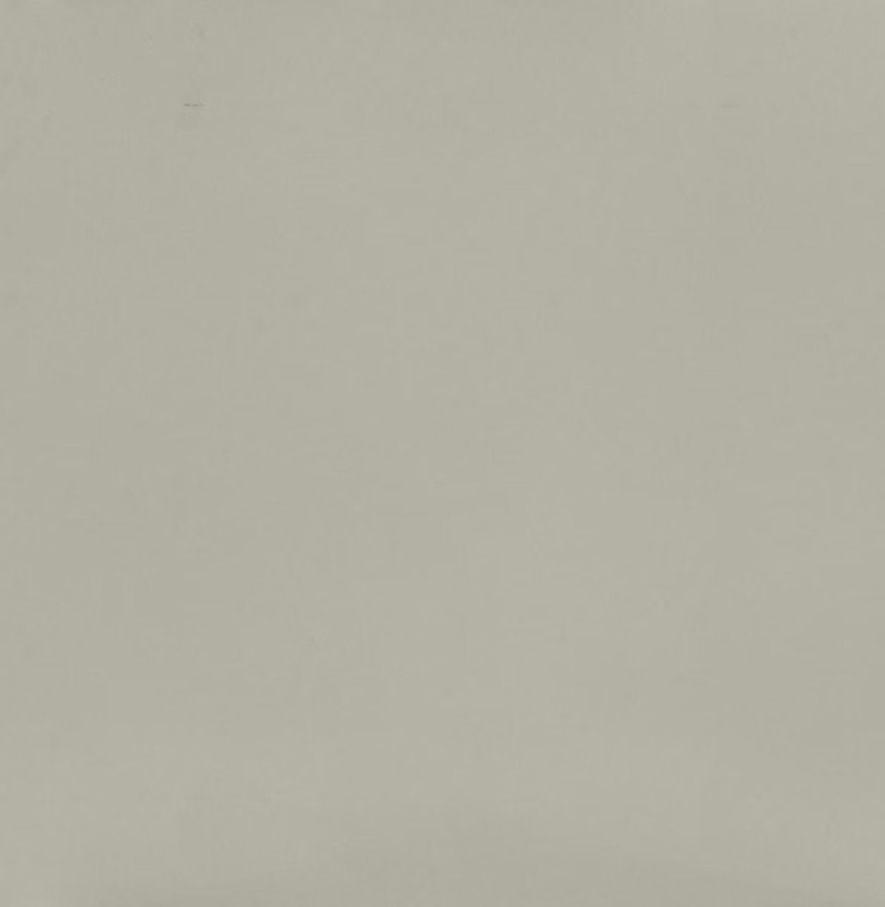 Cincel Grey Silestone - Sunlit days