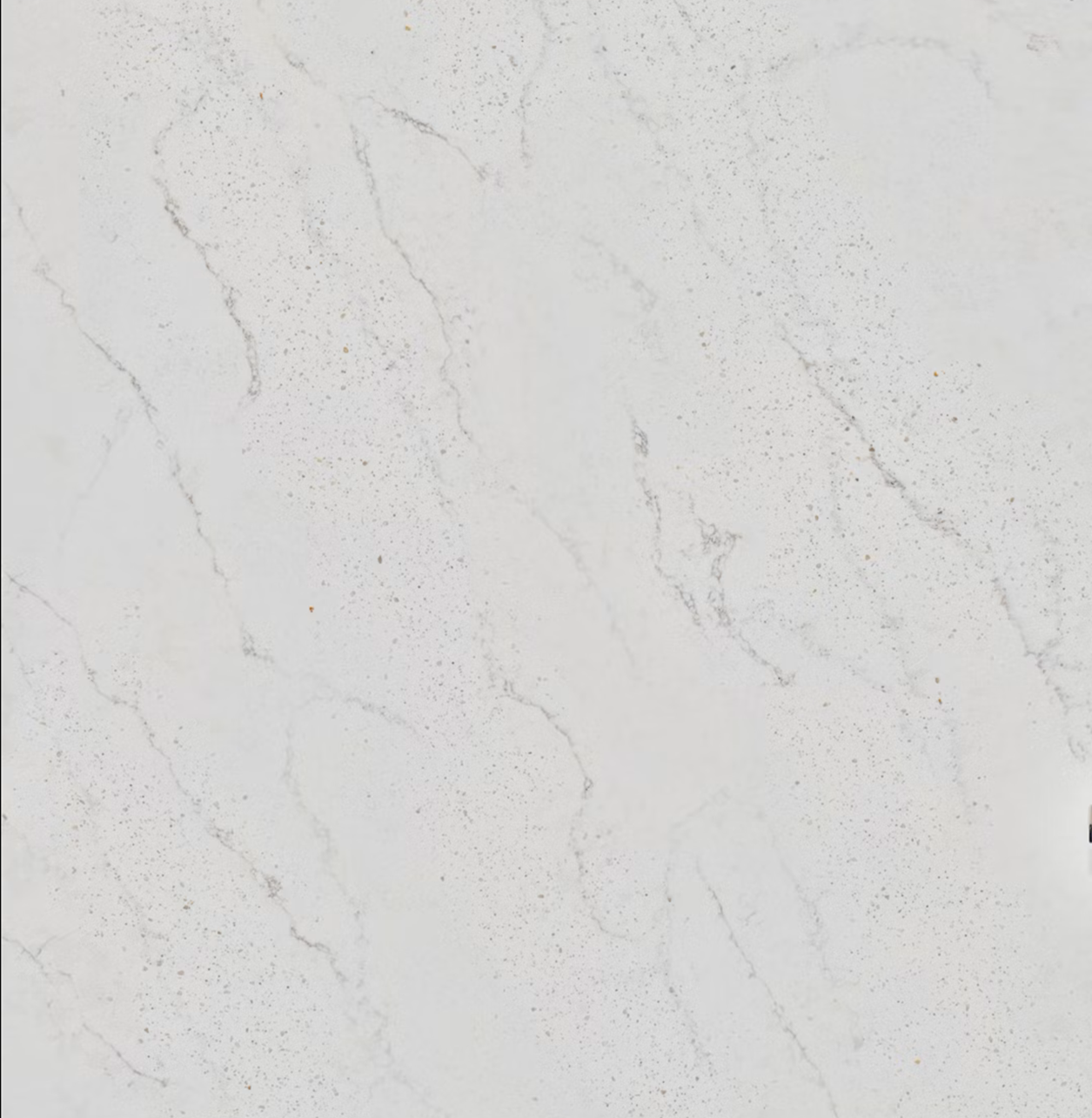 Eclectic Pearl Silestone - Le chic