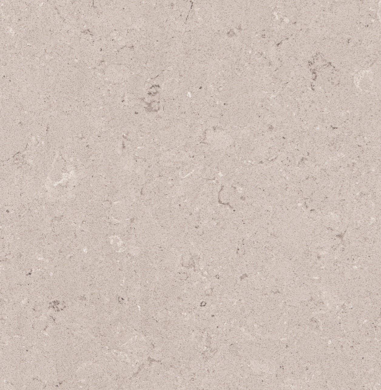 Caesarstone 4130 Clamshell Quartz Surface