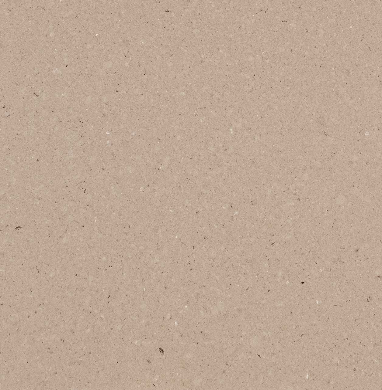 Caesarstone 4230 Shitake quartz stone is a modern, neutral color with a natural appearance, resembling and feeling like classic limestone.