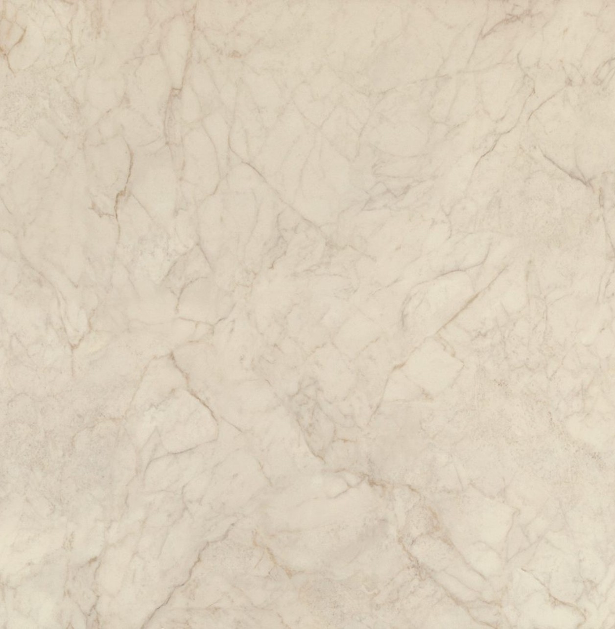507 Marbannova PORCELAIN