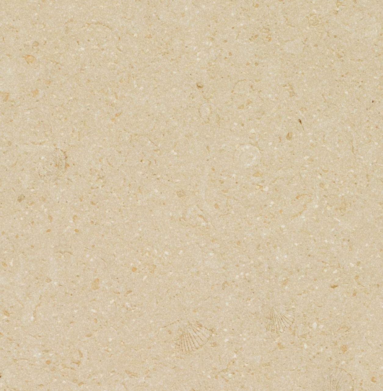 546 Thalassa PORCELAIN