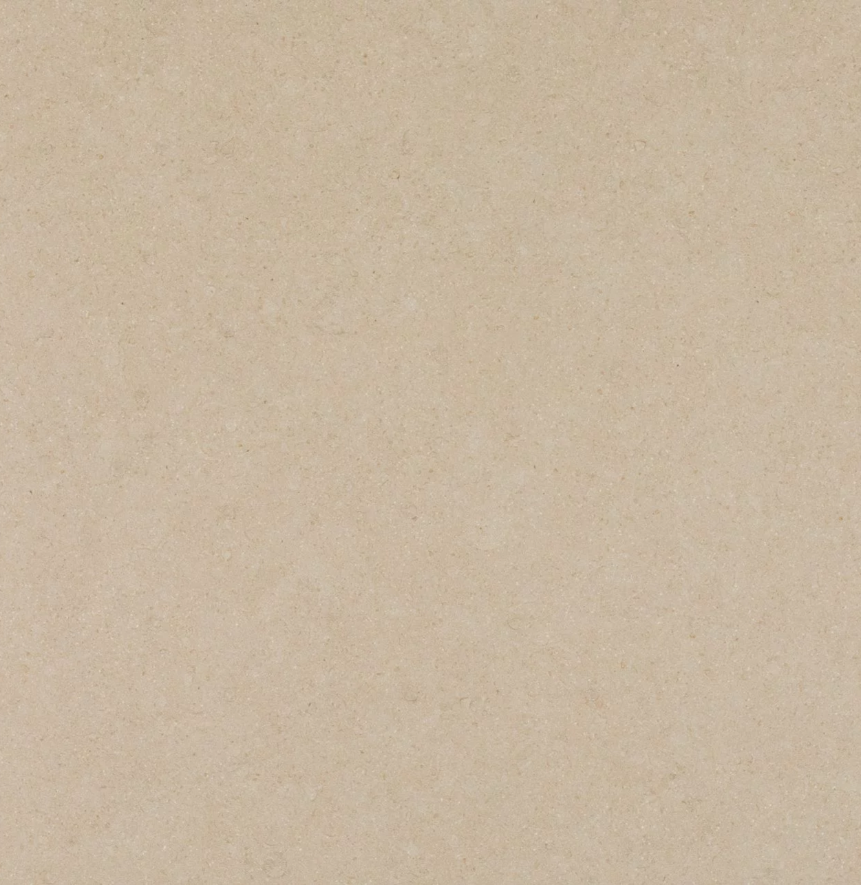 546 Thalassa PORCELAIN
