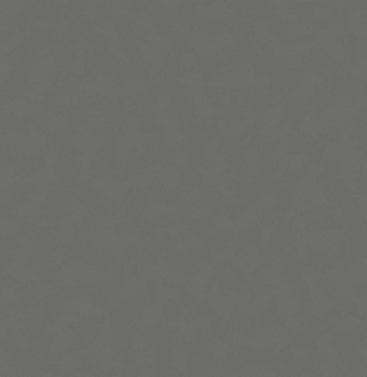 Gris Expo Silestone - Mythology