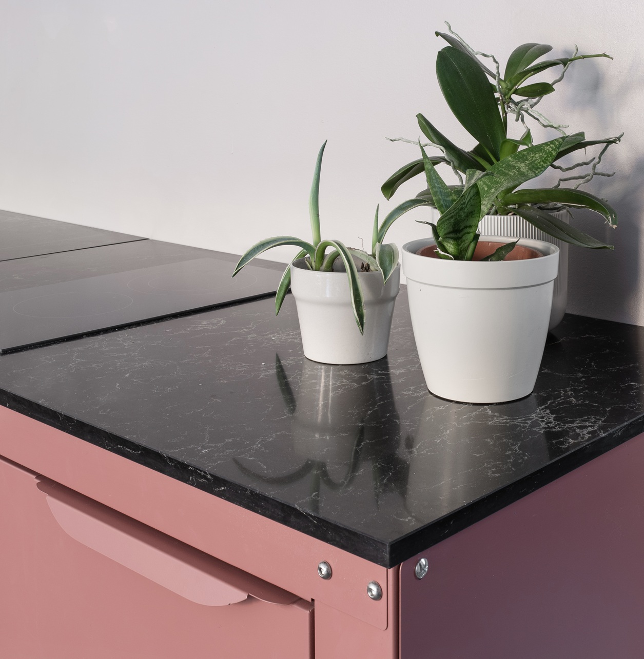 Pink kitchen cabinet with black countertop and potted plants