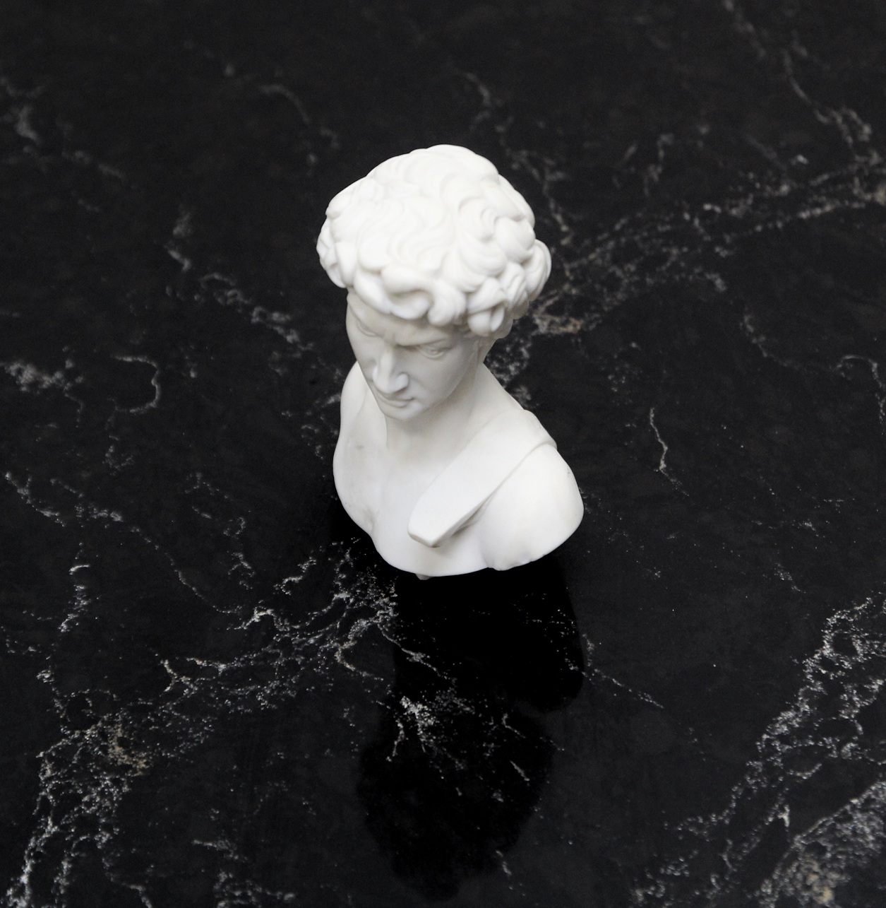 White marble bust of David on a black marble surface
